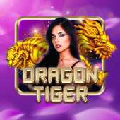 PT Gaming APK Dragon Tiger live casino