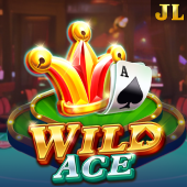 PT Gaming APK Wild Ace slot